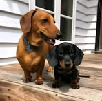 Randy Bunn - Facebook