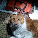 Randy Burch - @burch679 - Instagram