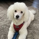 Randy Burk - @randylburk - Instagram