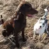 Randy Burnham - @randy.burnham - TikTok