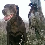Randy Burnham - @burnhamrandy - Instagram