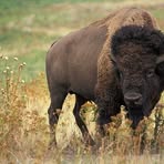 Randy Busse - Facebook
