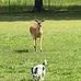 Randy Cagle - Facebook