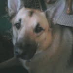Randy Camden - @randy.camden.77 - Instagram