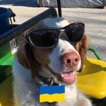 Randy Campbell - @randy.campbell.3873 - Instagram
