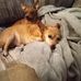 Randy Cantu - Facebook
