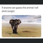 Randy Scarmack - @scarmackrandy - Instagram
