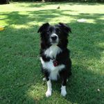Randy Cason - @rbcason75 - Instagram
