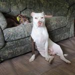 Randy Cassell - @randy_cassell - Instagram
