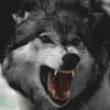 Randy Casteel235 - @unstoppable_wolf233 - TikTok
