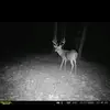 Randy Cates286 - @randycates286 - TikTok