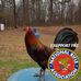 Randall Chatham - Facebook