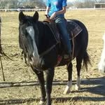 Randi Chatham - @horselover10303 - Instagram