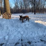 Randy Cheney - @randy.cheney.9216 - Instagram