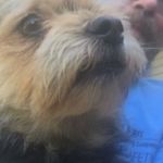 Randy Chitwood - @chit196262 - Instagram