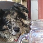Randy Chrisman - @rchris1962 - Instagram