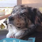 Randy Chrisman - @randy.chrisman.564 - Instagram