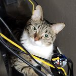 Randy Christman - @christman8423 - Instagram