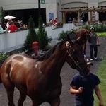 Randy Civello - @randycivello - Instagram