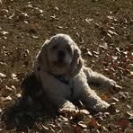 Randy Clapp - Facebook
