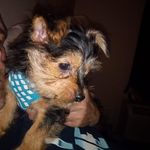 Randy N Tracy Clowers - @randy.clowers - Instagram