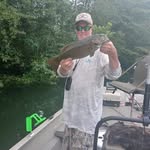 Copper Head - @randycolbert13 - Instagram