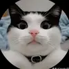 randycolin7 - @randycolin7 - TikTok