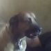 Randy Coots - Facebook