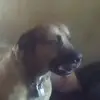 Randy Coots - @randycoots - TikTok