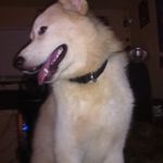Randy Cope - @randycope99 - Instagram