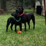 Randi & Copley - @randi_and_copley - Instagram