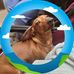 Randy Cormier - Facebook