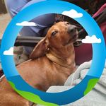 Randy Cormier - @cormier.randy - Instagram