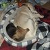 Randy Corum - Facebook