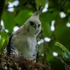 Randy Costa Rica Nature - @randy.costa.rica - TikTok