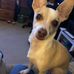 Randy Cote - Facebook