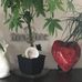 Randy Cote - Facebook