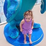Randy Cotterman - @randycotterman - Instagram