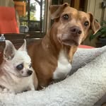 Randy Cotton - @randy_cotton - Instagram