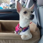 Randy Covington - @randycovington - Instagram