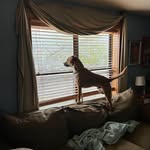 Randall Coyne - @randy_coyne - Instagram