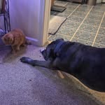 Randy Coy - @randy.coy.96 - Instagram