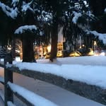 Randy Coyle - @randy.coyle.9 - Instagram