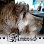 RandynLinda Creel - @randynlindacreel - Instagram