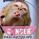 Randy Cuevas - @randy.cuevas.378 - Instagram