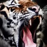@randyculpepper13 - Instagram