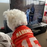 Randy D - @randydahl - Instagram