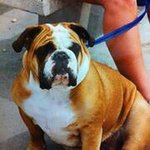 Randy Dahl - @randydahl714 - Instagram