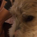 Randy Dahl - @dahl1454 - Instagram