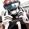 Randy Daigle - @randy.daigle6 - TikTok